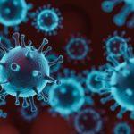 Исследование: половые гормоны защищают от коронавируса