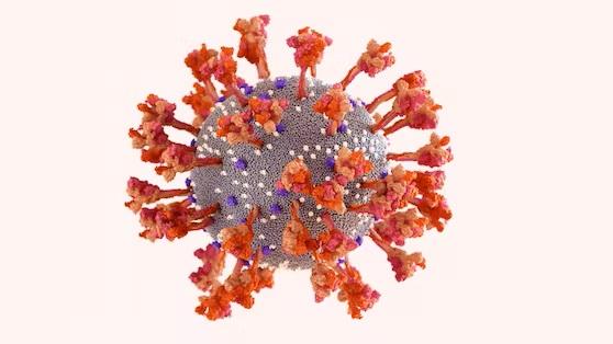 Новости коронавируса: 2 993 новых случая, новые рекомендации Национальной комиссии по вакцинации, BQ.1.1. Цербер начинает доминировать, проблемы с поставками 519 наименований лекарств