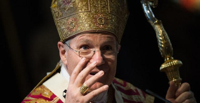 Кардинал Шёнборн: «Австрия нуждается в миграции»