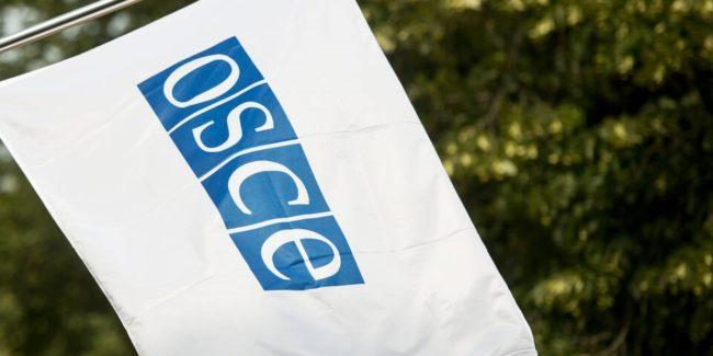 Глава ОБСЕ в Вене: «Членство России в организации имеет смысл» 