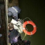 Пьяная жительница Вены упала в Дунайский канал