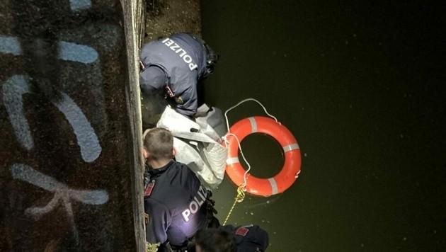 Пьяная жительница Вены упала в Дунайский канал