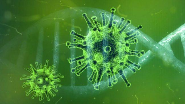 Новости коронавируса: 1 492 новых случая, XBB.1.5 скоро распространится и на Европу, сомнения в эффективности AstraZeneca, с воскресенья Китай открыл границы
