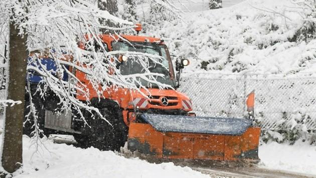 В Восточном Тироле снегоочиститель попал под лавину, водитель погиб