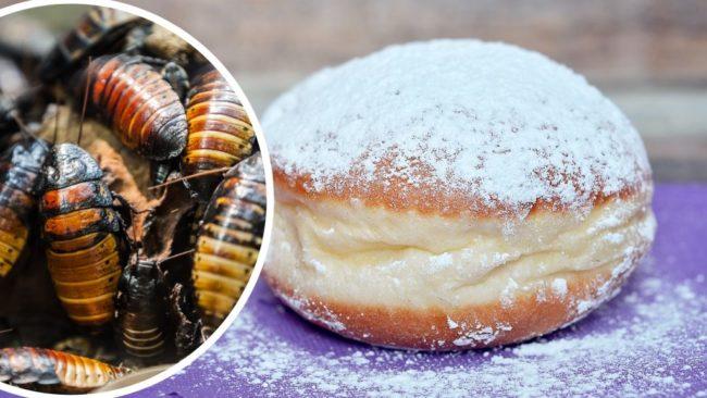 Крапфены с насекомыми: возможно ли случайное употребление в пищу?