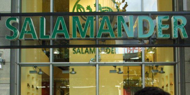 Закрытие 40 магазинов Delka и Salamander в Австрии: затронуты 300 сотрудников