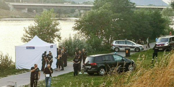 После нападения с молотком на бывшую жену – тело нападавшего и его сына обнаружено в Дунае